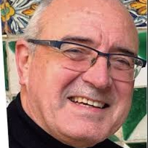 Enric Ribes i Marí 